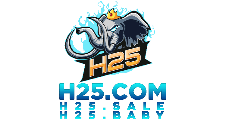 H25 Logo